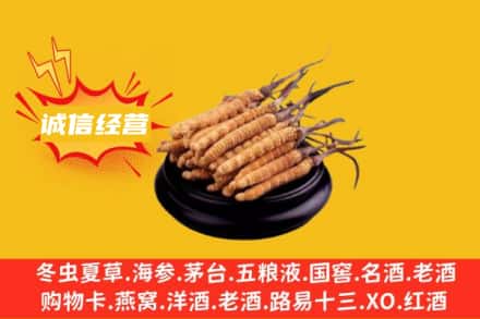 揭阳市回收冬虫夏草